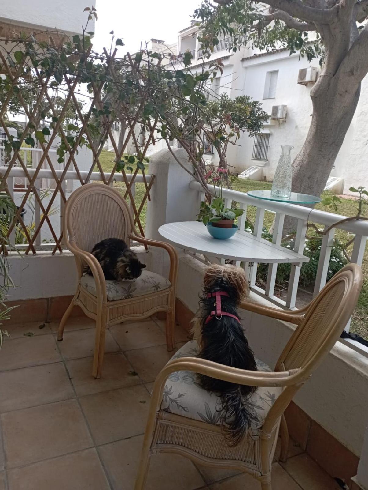 Apartamento Laguna Beach Torrox Costa Exterior foto